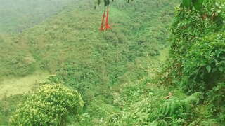 Colombian di Leuweung Méré Basa jeung X_x jeung Strangers Sex di Tukeran Keur Bantuan Finansial.