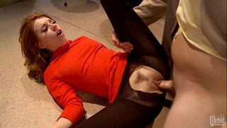 Lexi est asinus spectat bonum in ocreas