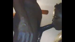 τίποτα σαν μια σκύλα που αγαπούν να πιπιλίζουν dick