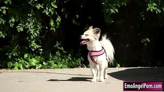 Кичинекей татуированная красотка табат анын ит үчүн анын кошуналар мүлк.Анын коңшусу сыйлык каалайт,алар кийимдерин чечип, анан кошуналар кекиртектерин алып салышат bigcock.In кайтуу, анын соседа трахает анын киску жана жопу терең жана катуу, азырынча ал кончает анын ага.