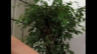 ���ຟ-ຮ່ວມເພດຍິງມັກແມ່-scene ໘-ສານສະກັດ ໒