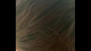 Ã�ャンマーの自宅を作り木ゾウペイさんの住むマンダレー